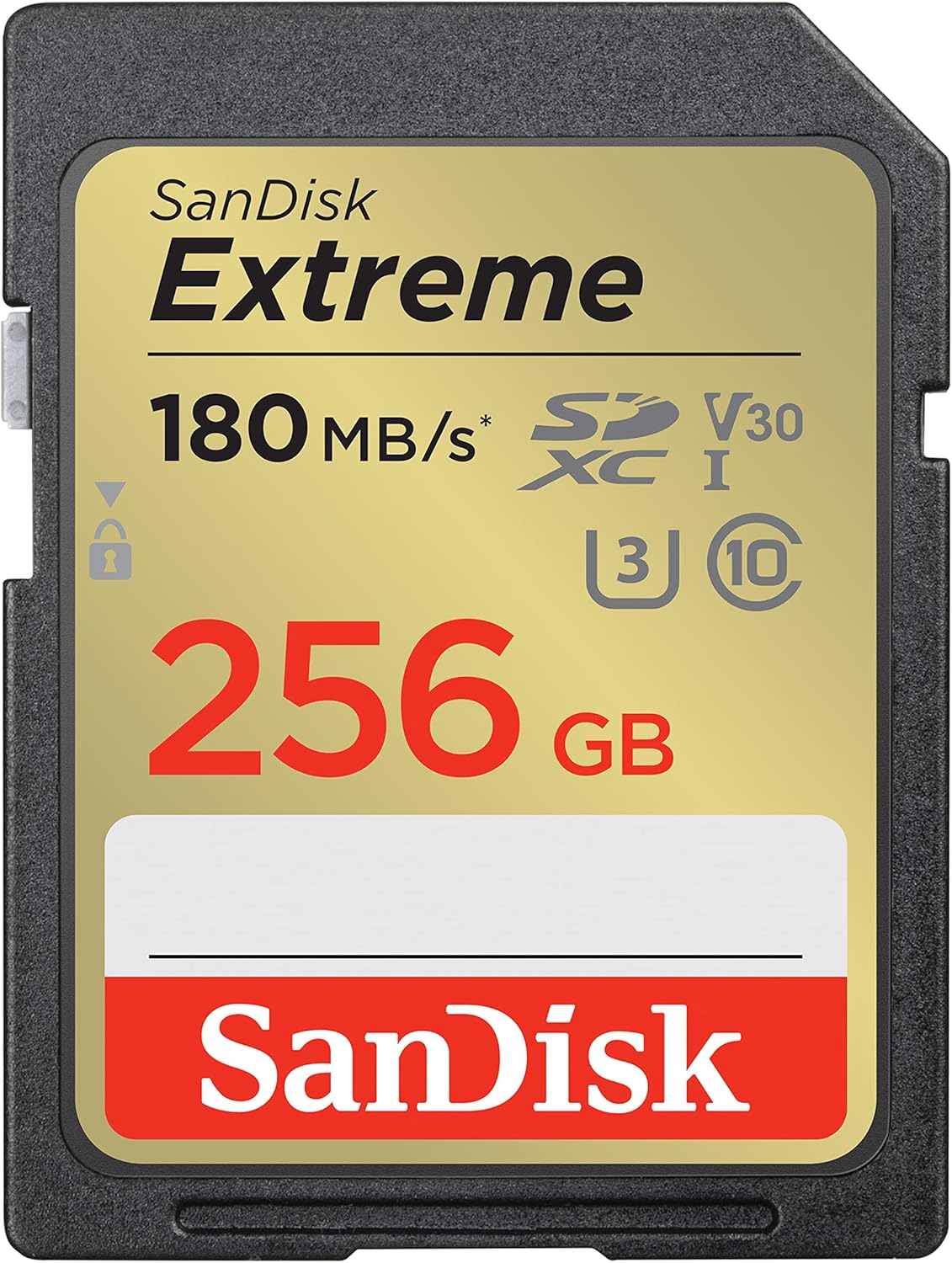 SD Karte 256GB