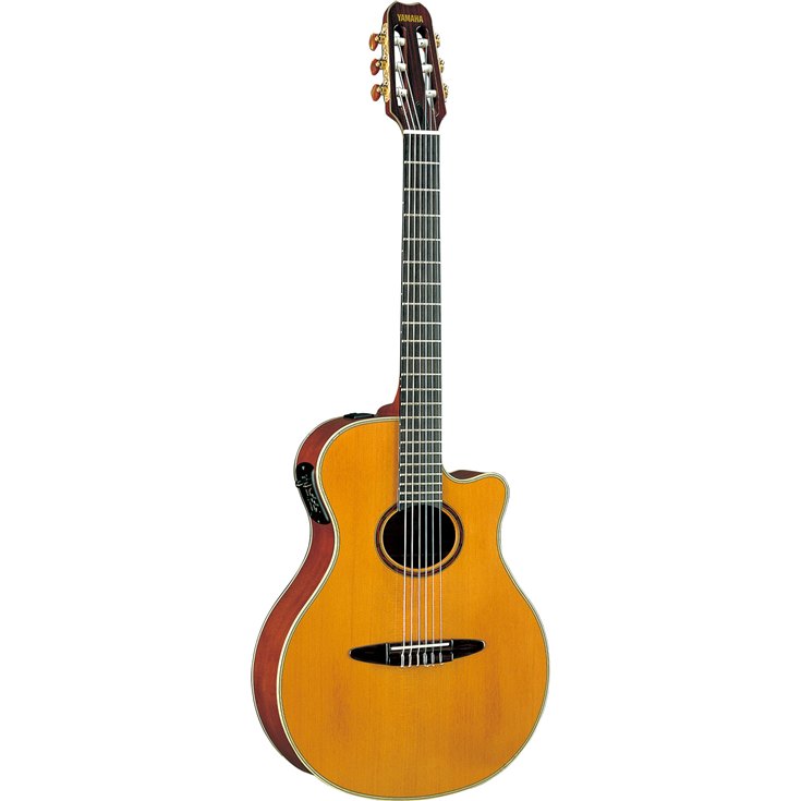 Yamaha APX 9NA